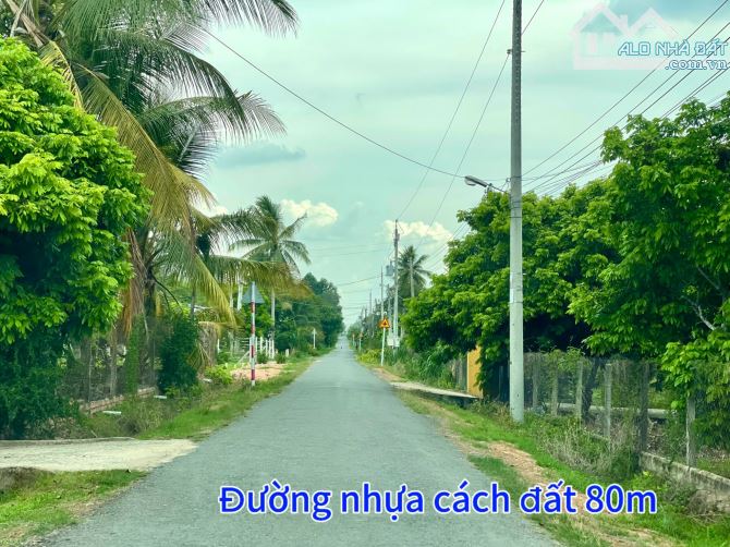 82#🌳 TẶNG HÀNG RÀO KIÊN CỐ CHO LÔ ĐẤT SẮP LÊN NHỰA GIÁ CHỈ 599TR TẠI TX. HOÀ THÀNH TÂY NI - 9