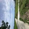Bán 508m đất view lúa tại thôn 5 Cẩm Thanh thích hợp xây villa
