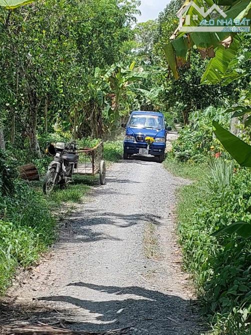 BÁN 5,6 CÔNG ĐẤT LÚA MẶT TIỀN HƠN 50M (LỘ ĐÁ 3,5M) CÁCH QUỐC LỘ 80 1KM – H. LAI VUNG