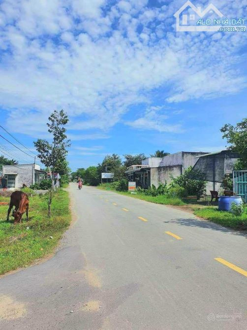 Chủ kẹt tiền bán gấp lô đất mặt đường xã Tân Thông Hội , Củ Chi , 540 triệu dt 151m2 - 1