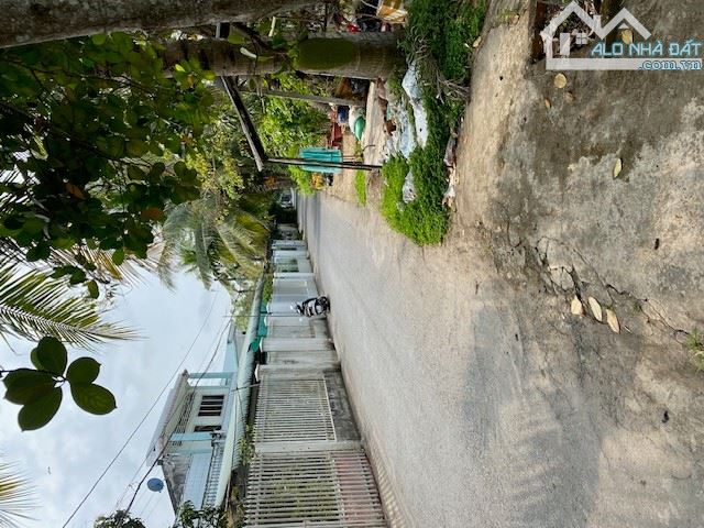 Nhà cho thuê tọa lạc mặt tiền đường Nguyễn Thị Tạo quận Bình Thủy TP. Cần Thơ - 1