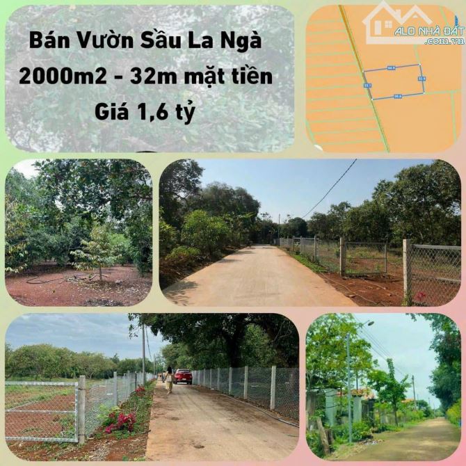 Bán đất La Ngà,Định Quán,Đồng Nai dt 2000m2 giá 1.6 tỷ ngang 32.5m.kết hợp đất ở tại NT - 2