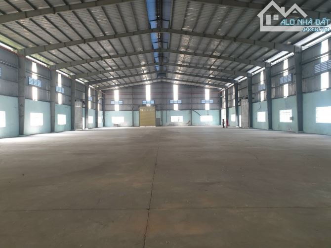 Cho thuê kho xưởng 1000m2, 2000m2, 2500m2, 3000m2, 5000m2, Trần Đại Nghĩa, Bình Chánh - 2