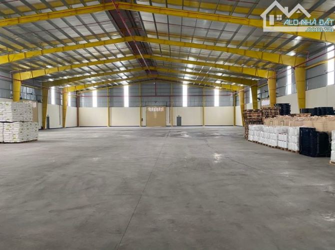 Cho thuê kho xưởng 1000m2, 2000m2, 2500m2, 3000m2, 5000m2, Trần Đại Nghĩa, Bình Chánh - 4