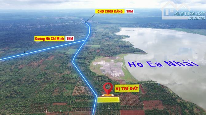 2,2 sào 2 mặt đường nhựa Km17 Quốc Lộ 26 sát đường HCM 2,2 tỷ Quỳnh Anh - 4