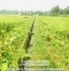 Chủ cần bán lô đất vườn 2.486m2 đường xe 3 gác cách Nguyễn Thị Rành chỉ 500m xã Nhuận Đức