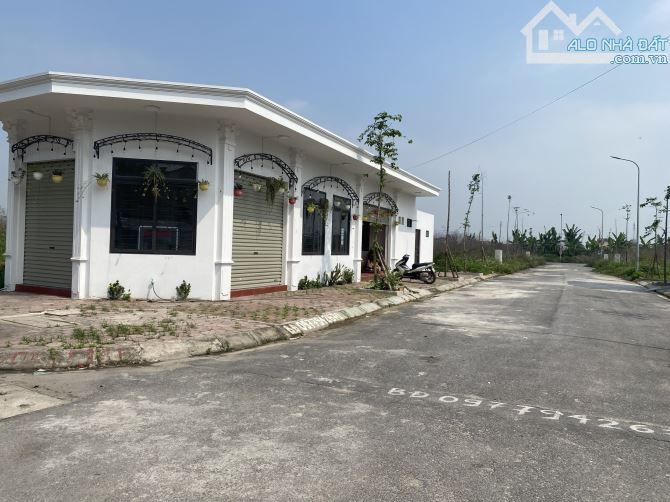 Bán đất 100 m2 giá tốt nhất khu phân lô Đống Chuối, phường Hùng Vương, Hồng Bàng - 5