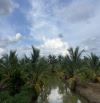 Bán 15.000 m2(1,5 hecta) đất trồng mai+dừa Mã Lai mặt đuờng ô tô cách tỉnh lộ 878 300m,TG