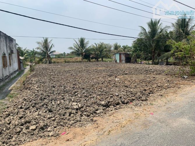 Bán đất: MT đường Đê Bao Rạch Gia, Xã Tân Quý Tây, Huyện Bình Chánh - 2