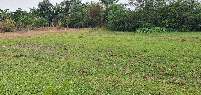 Bán rẻ 3501m2 đất,  6,3 tỷ. Long Đức, gần sân bay Long Thành