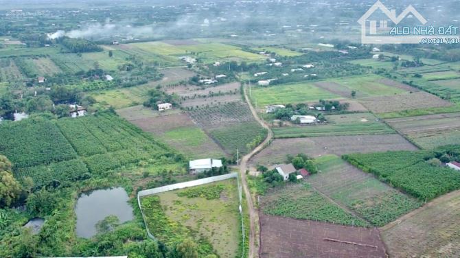 CHỦ CẦN BÁN 18HA CẨM MỸ, CÁCH SÂN BAY LONG THÀNH 35KM, GIÁ CHỈ 220 TRIỆU/1000M2