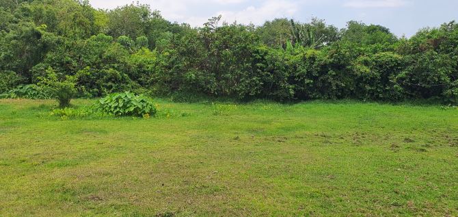 Bán rẻ 3501m2 đất,  6,3 tỷ. Long Đức, gần sân bay Long Thành - 1