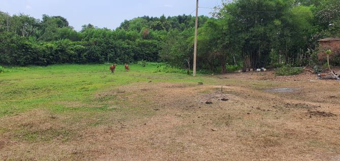 Bán rẻ 3501m2 đất,  6,3 tỷ. Long Đức, gần sân bay Long Thành - 3