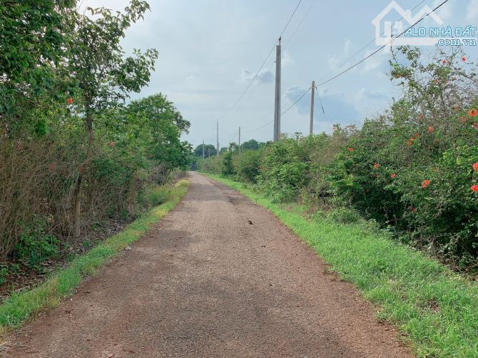 Bán khoảng hơn 1 mẫu (10.370m2) đất Láng Lớn, huyện Châu Đức, BRVT.
