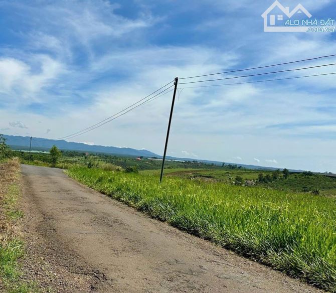 1023m2 đất xã Đambri Bảo Lộc có thổ cư view đồi cực đẹp chỉ 1 tỷ 690 - 1