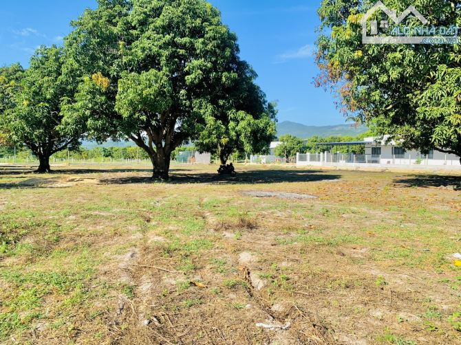 Cần bán 6.500m2 đất cạnh trường Trung cấp nghề Cam lâm. giá chỉ 8,8 tỷ có thương lượng - 4