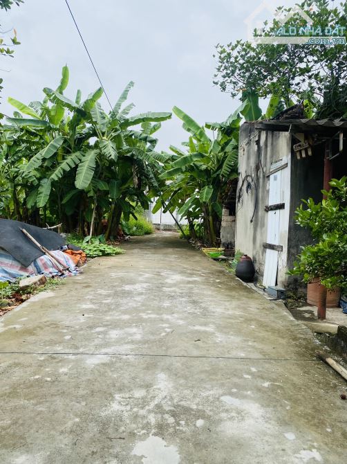 Bán đất Lương Quán, Nam Sơn, An Dương 95m ngõ 3m chỉ 1,3 tỷ.