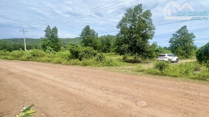 ✨ 10.000m2, 70M mặt tiền dài, gần hồ chứa Sông Lũy (Hồ Lớn nhất Bắc Bình), GIÁ: chỉ 1.1 TỶ - 2