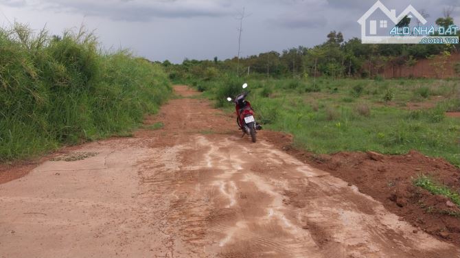 Bán 1276m, xã Hưng Thịnh, huyện Trảng Bom - 2