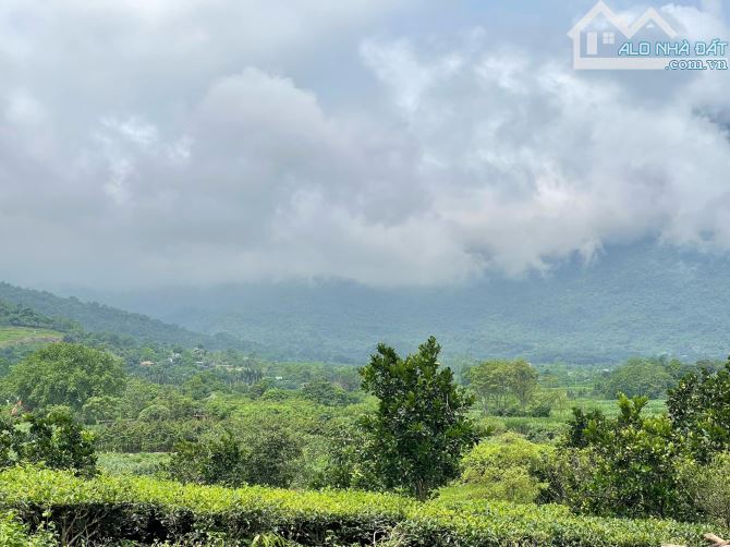 SIÊU PHẨM NGHỈ DƯỠNG GIÁ 4,X TỶ TẠI YÊN BÀI BAO QUANH LÀ HOMESTAY HIẾM RẺ DUY NHẤT LÔ GÓC - 2