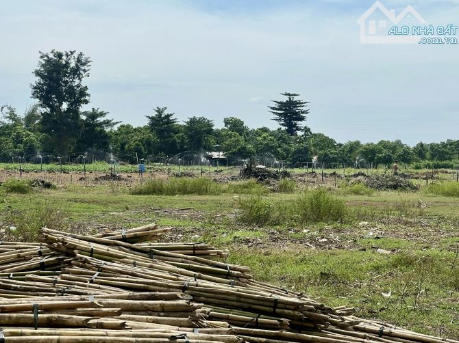 ✨ 10.000m2, 70M mặt tiền dài, gần hồ chứa Sông Lũy (Hồ Lớn nhất Bắc Bình), GIÁ: chỉ 1.1 TỶ - 5