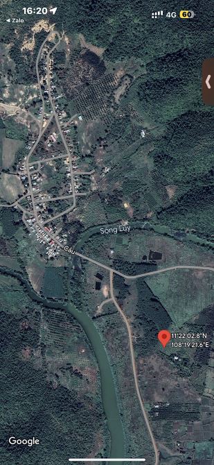 ✨ 10.000m2, 70M mặt tiền dài, gần hồ chứa Sông Lũy (Hồ Lớn nhất Bắc Bình), GIÁ: chỉ 1.1 TỶ - 8