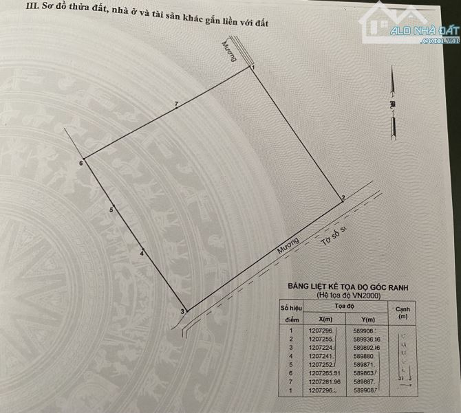 BÁN GẤP LÔ ĐẤT 48Mx60M  – ĐƯỜNG TÂN HIỆP 13 HÓC MÔN - GIÁ 9.8 TỶ. - 1