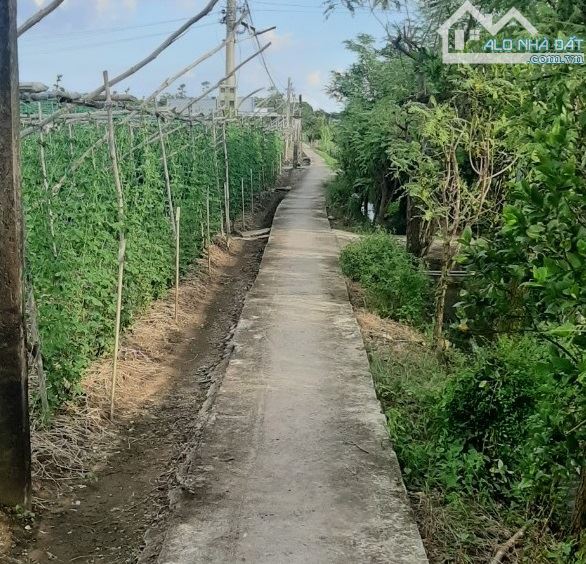 Bán đất trồng trọt hoa màu (46 x 66m) ấp Thạnh Hòa, xã Bình Nghị, Gò Công Đông, Tiền Giang