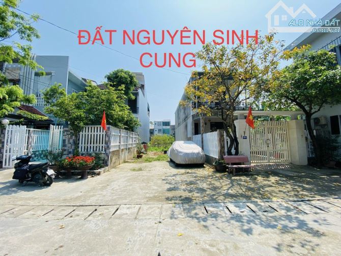 ⭐ Bán Đất Kiệt ô Tô Vi Vu - Đường Nguyễn Sinh Cung- Tp Huế - 2