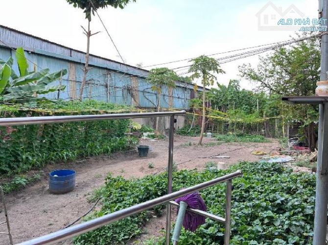 BÁN ĐẤT VÀ NHÀ MẶT TIỀN ĐÔNG HƯNG THUẬN 17, Q12. GIÁ 45 TỶ TL ( ĐOẠN GIAO NGUYỄN VĂN QUÁ) - 3