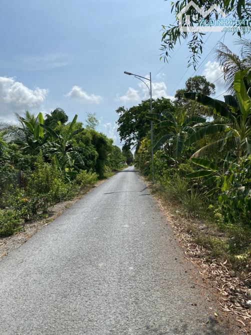 BÁN ĐẤT MẶT TIỀN ĐƯỜNG Ô TÔ VỀ HOẢ LỰU, PHƯỜNG VII, THÀNH PHỐ VỊ THANH, HẬU GIANG