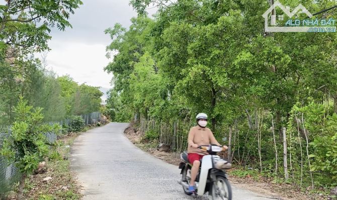 Bán đất view biển Cam Lập - Cam Ranh - 3