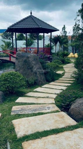 Bán biệt thự sân vườn Đà Lạt, bán căn vila siêu đẹp 600m2, thiết kế Châ - 4