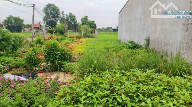 Bán Đất 10x20m đường xe hơi ấp Bình Lợi, xã Hòa Khánh Đông, Đức Hòa, Long An giá 1.15 tỷ - 1