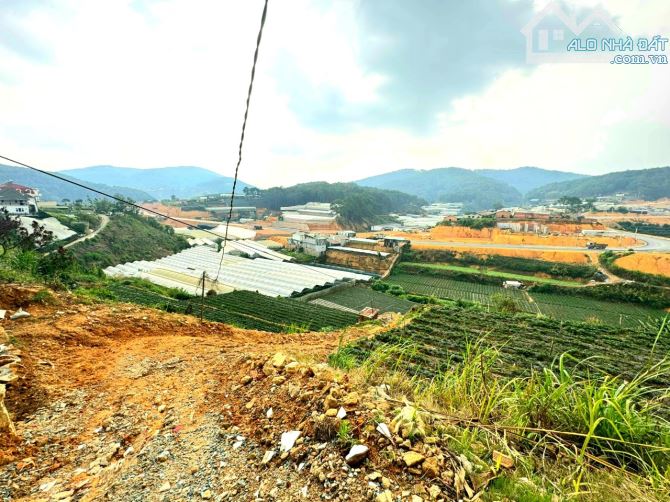 Bán đất view đẹp đồi thông khu dân cư biệt thự An Sơn trung tâm Đà Lạt, đi chợ đêm 3km - 1