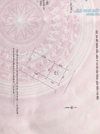 Lô Góc-Trục Chính Kinh Doanh-Gần Chợ Đầu Mối.Bán Đất Kim Sơn-Gia Lâm,Dt 50m2,Giá 4.75 Tỷ. - 2