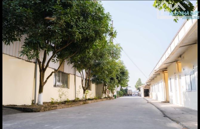 Cần bán đất, nhà xưởng 11000m2 tại Văn Lâm, Hưng Yên, cách Hà Nội 25km. - 4