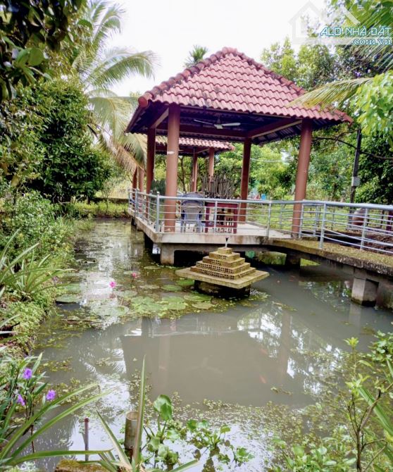 Cần bán mãnh vườn 8000m, Ninh Sơn trung tâm Tp Tây Ninh - 5