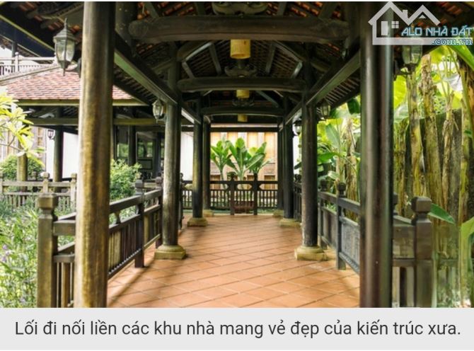 BÁN NHÀ VƯỜN NGHỈ DƯỠNG 4.000M² QUẬN 9 - THIẾT KẾ PHONG CÁCH XƯA CŨ VỚI TOÀN GỖ QUÝ - 7