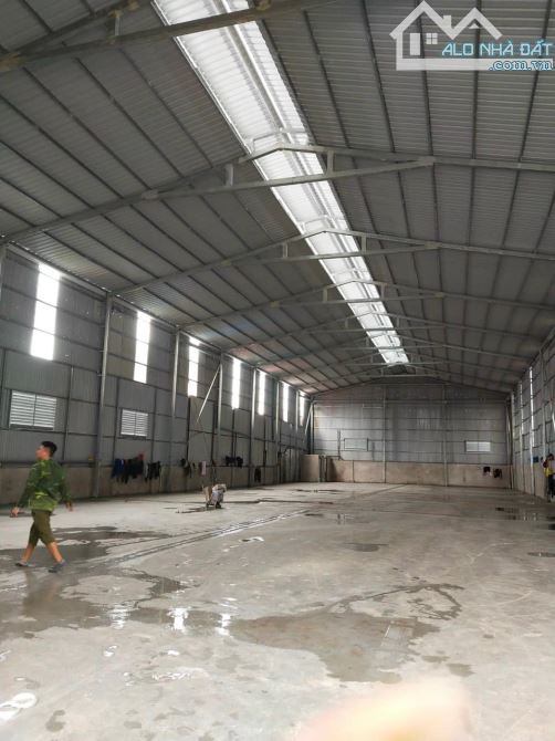 N91. Kho DT tầm hơn 300m2 ở Hoàng Quốc Việt, Kiến An