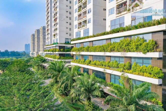 Cho thuê căn hộ chung cư Ecolife 58 Tố Hữu - 50m2 - 1 ngủ - 1 khách - 1 vệ sinh - 3