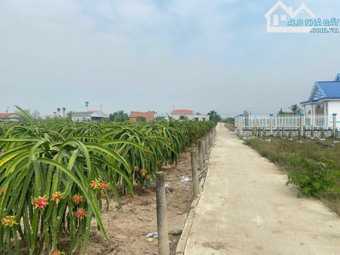 NỢ NGÂN HÀNG BÁN GẤP, ĐẤT THỔ CƯ L.A _ DT: 5 x 20m2 _ ĐƯỜNG XE HƠI 7 CHỔ _ GIÁ: 360 TRIỆU. - 3