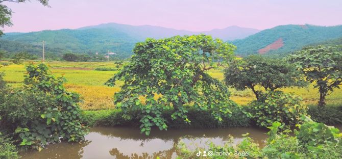 Bán đất mặt đường Liên xã Cư Yên, Lương Sơn, Hoà Bình view đẹp - 4