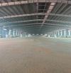 Cho thuê kho xưởng 7500m2, 15000m2 trong KCN Mỹ Xuân, TX Phú Mỹ, Bà Rịa Vũng Tàu