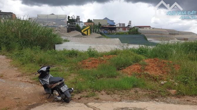 ĐẤT RỘNG 721M2 17TY GẦN HỒ XUÂN HƯƠNG ĐƯỜNG Ô TÔ TẬN NƠI ĐƯỜNG TRẦN ĐẠI NGHĨA P8 ĐÀ LẠT - 1