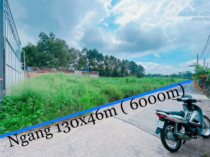 Cho thuê  6 sào đất ( 6000m2 ) Góc 2 mặt tiền gần đầu đường 13 khu công nghiệp AMata gần g - 1