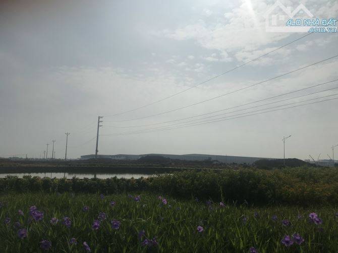 Chuyển nhượng 20.000m2  khu công nghiệp Sông Công 2 – Thái Nguyên - 1
