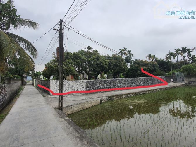 🆘🆘🆘Siêu phẩm lô góc xen kẹt : 200m2 thổ + 250m2 vườn tại An Sơn, Thuỷ Nguyên - 1