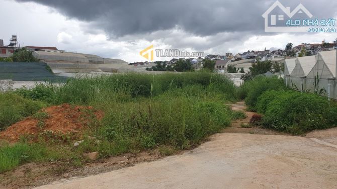 ĐẤT RỘNG 721M2 17TY GẦN HỒ XUÂN HƯƠNG ĐƯỜNG Ô TÔ TẬN NƠI ĐƯỜNG TRẦN ĐẠI NGHĨA P8 ĐÀ LẠT - 2