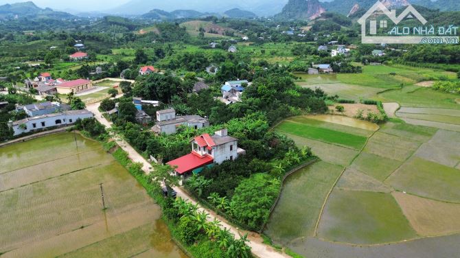 ☣️ 410m Cách Khu Công Nghiệp Đú Sáng 300m - Giá: 530 Triệu  ☣️ - 3